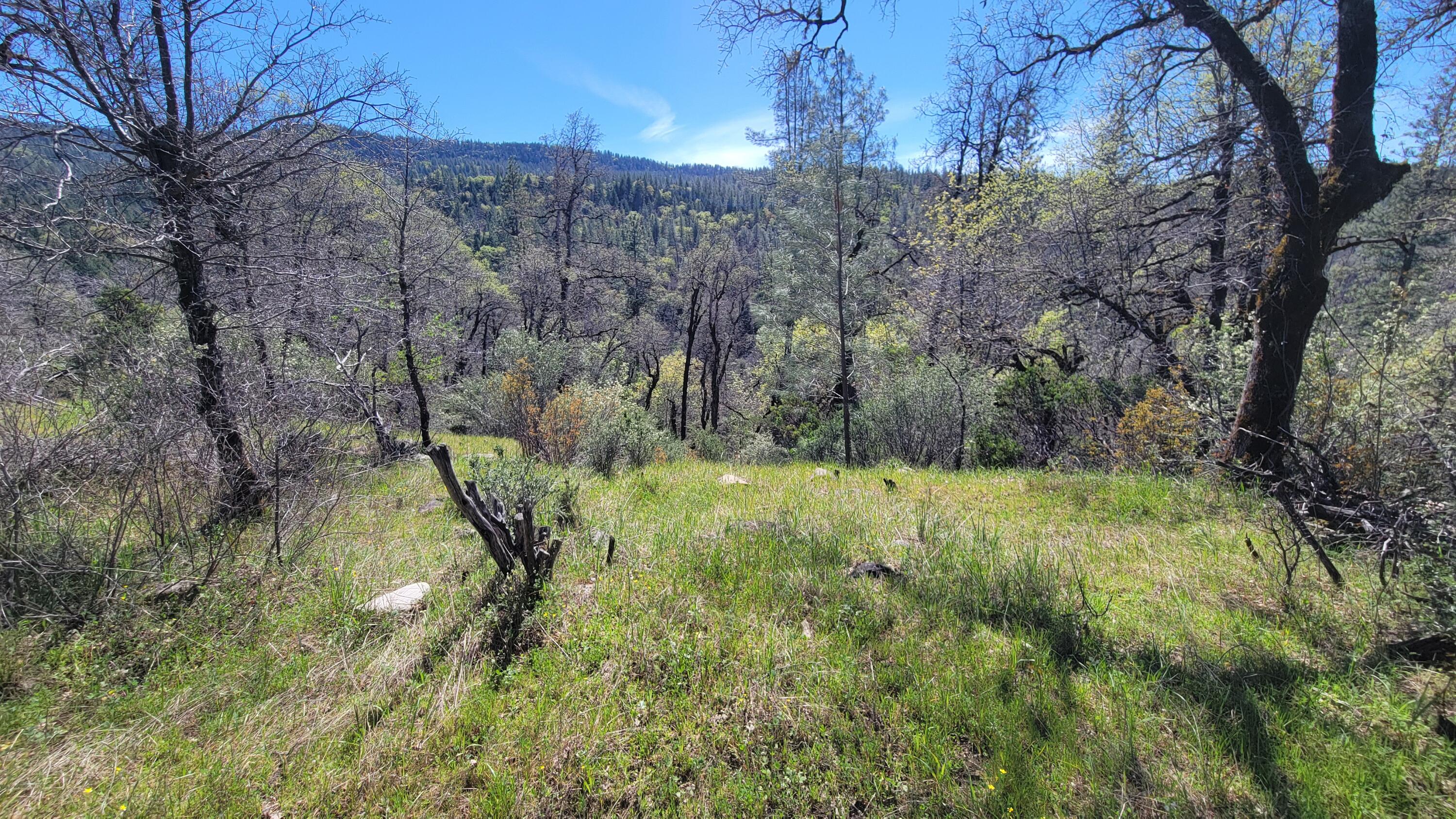 0 Jacey's Tract Road Oak Run, CA 96069 - Photo 29 of 35 20260317_125951