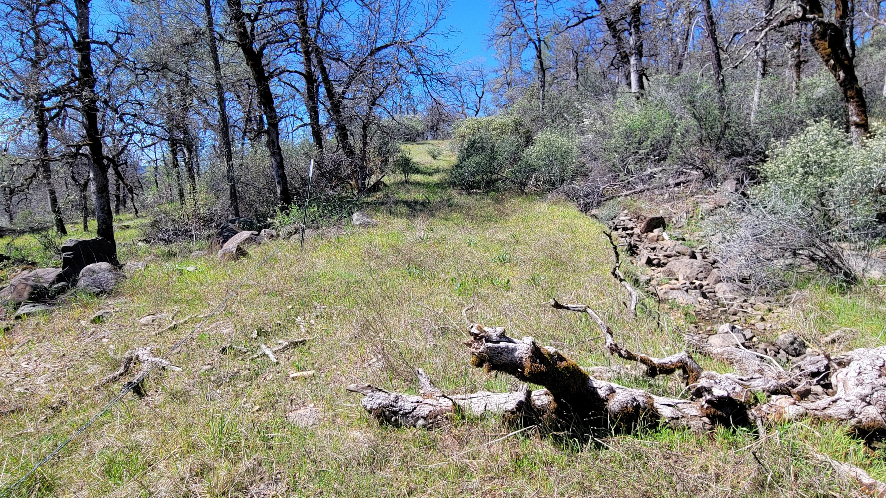 0 Jacey's Tract Road Oak Run, CA 96069 - Photo 31 of 35 20260317_130423