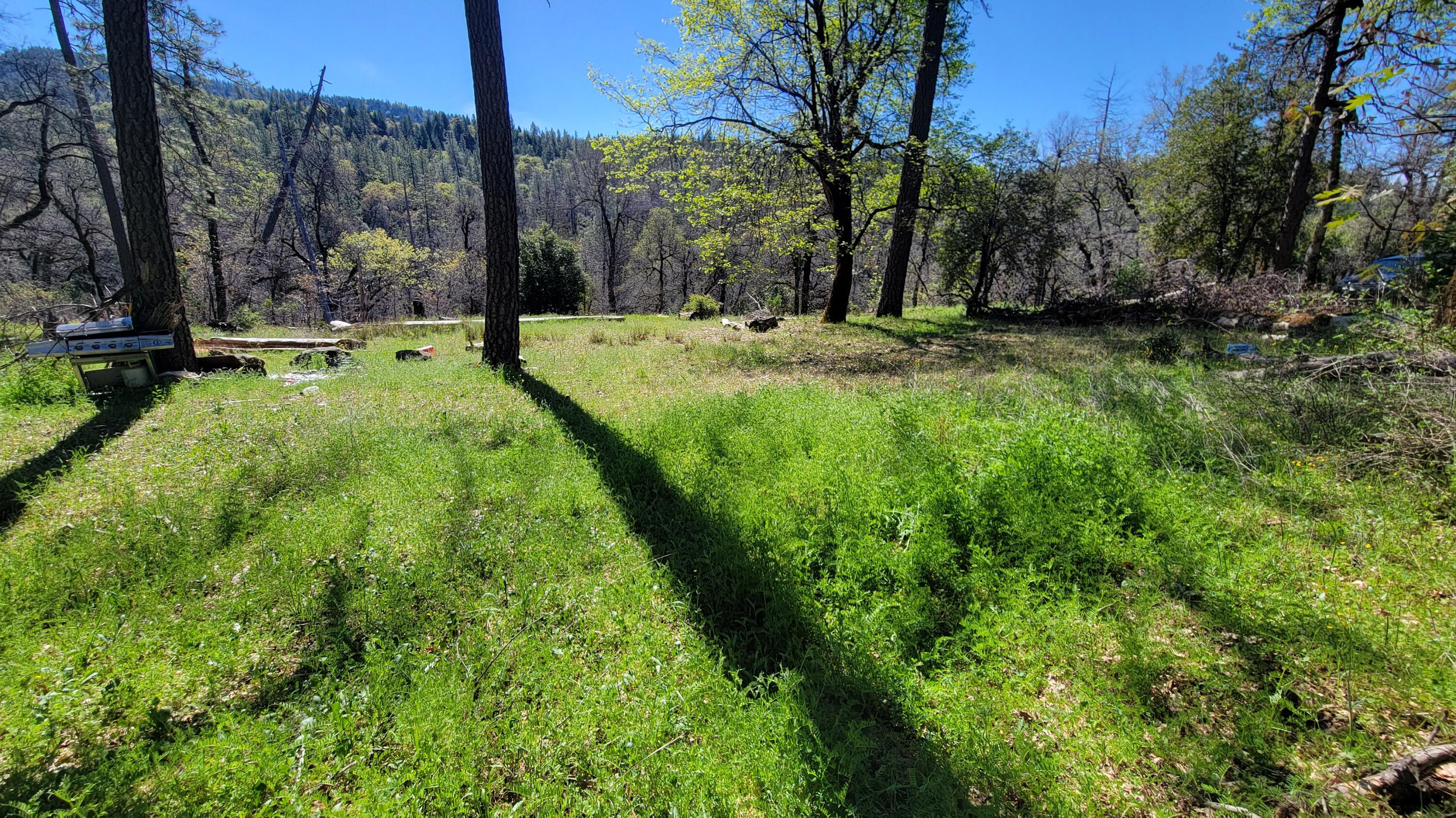 0 Jacey's Tract Road Oak Run, CA 96069 - Photo 4 of 35 20260317_115838