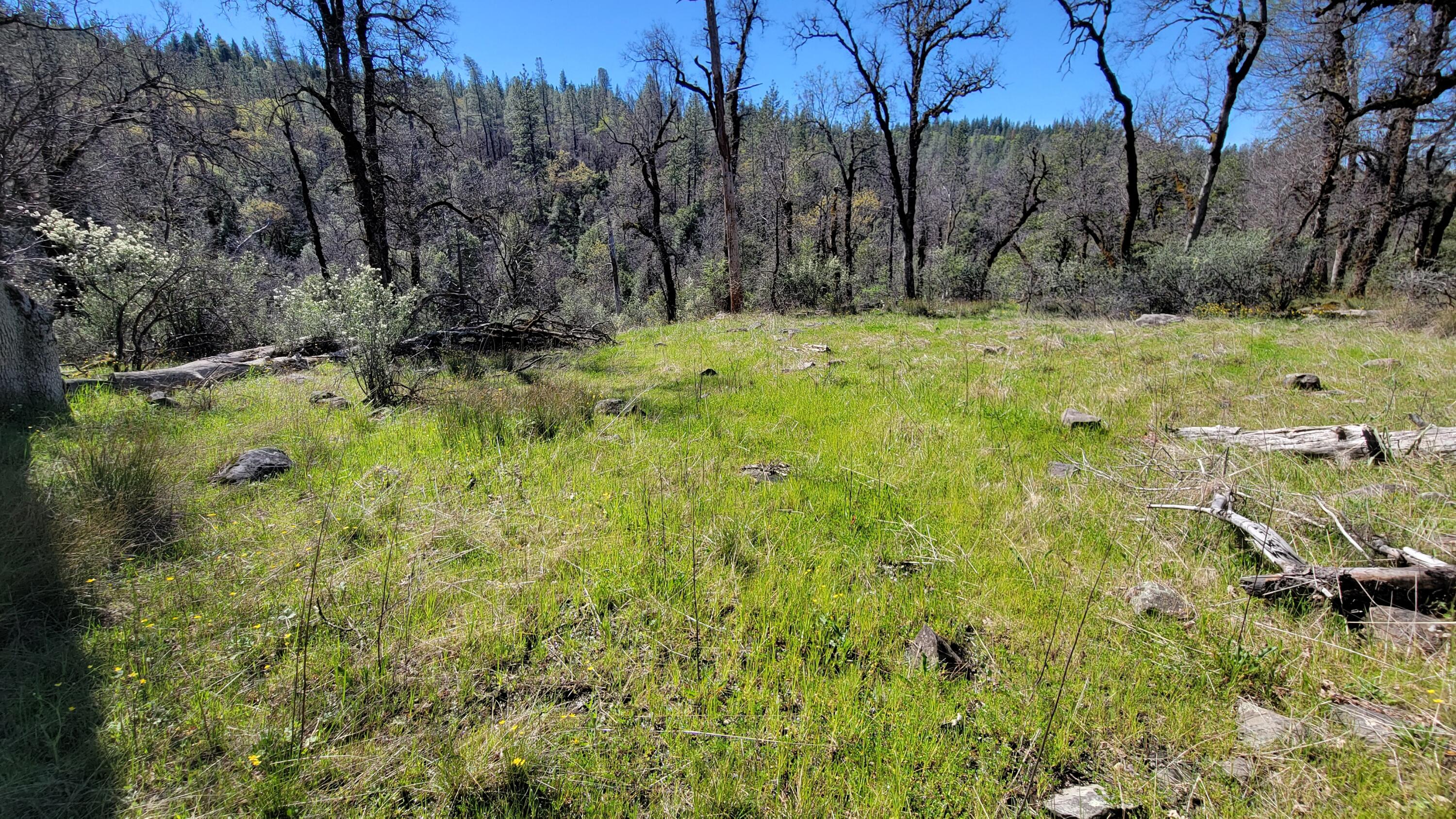 0 Jacey's Tract Road Oak Run, CA 96069 - Photo 9 of 35 20260317_120356