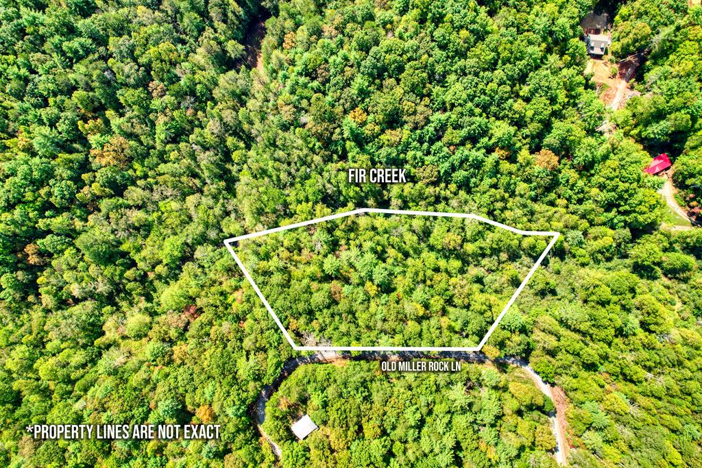 684 Old Miller Rock Road Ellijay, GA 30540 - Photo 3 of 38 Gallery Image 3