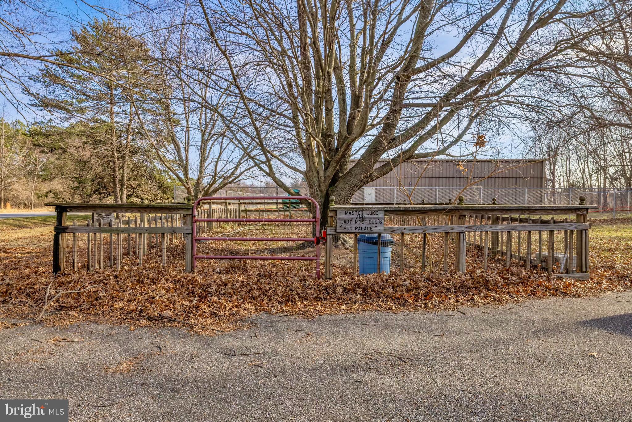 126 State Street Stevensville, MD 21666 - Photo 12 of 20 front view of house with large trees
