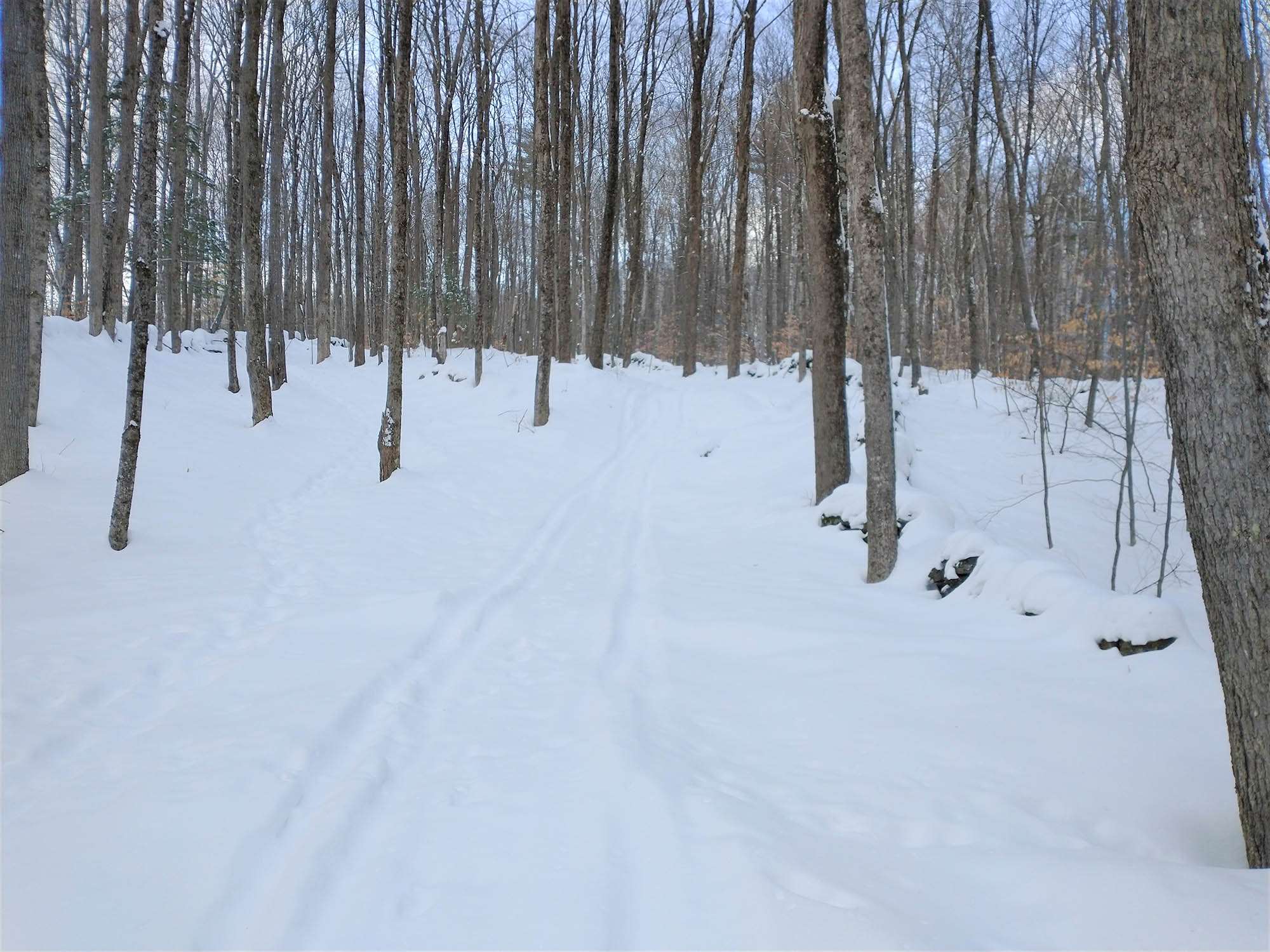 Lot 2 Faraway Road Putney, VT 05346 - Photo 14 of 16