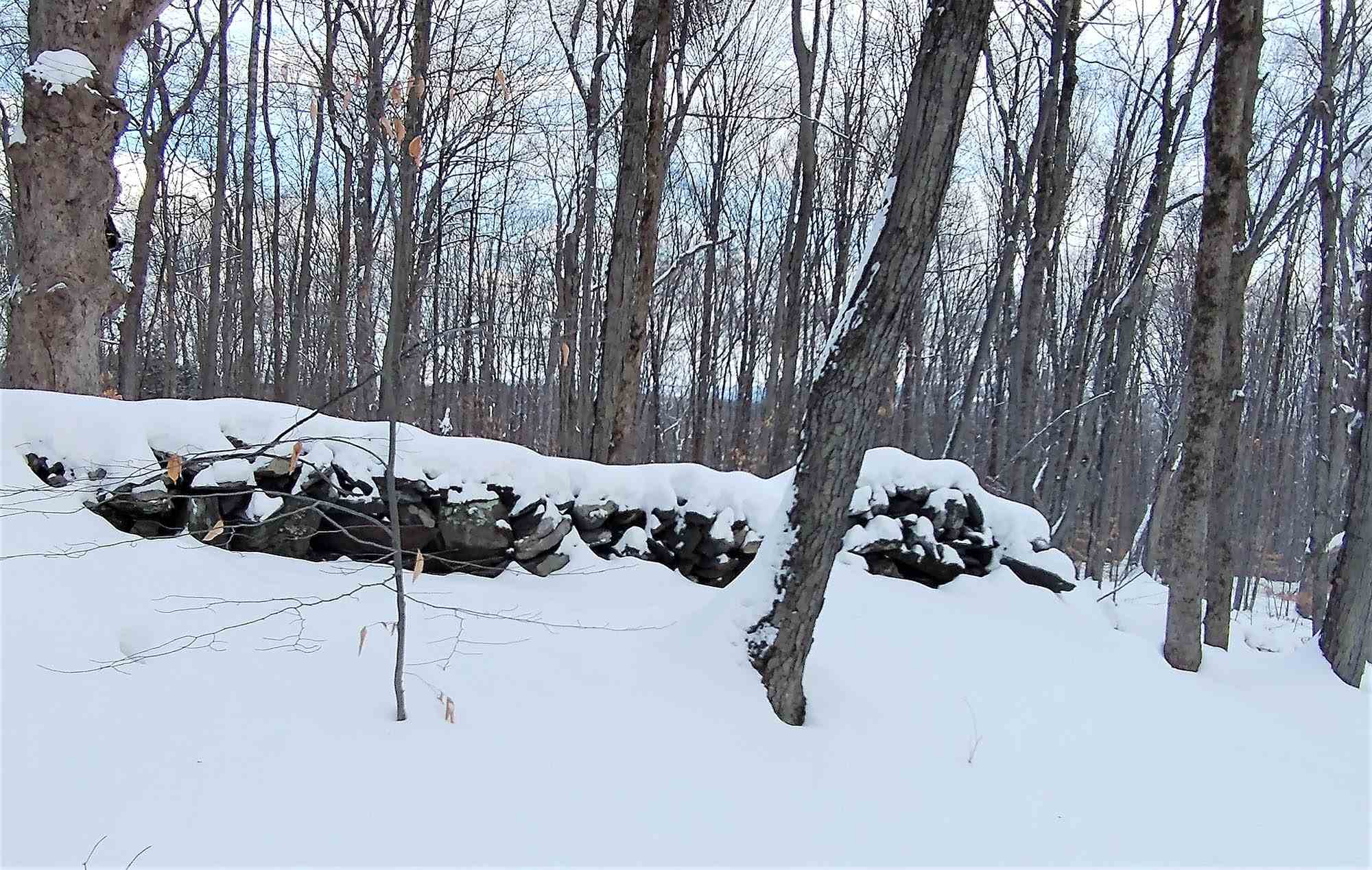 Lot 2 Faraway Road Putney, VT 05346 - Photo 16 of 16