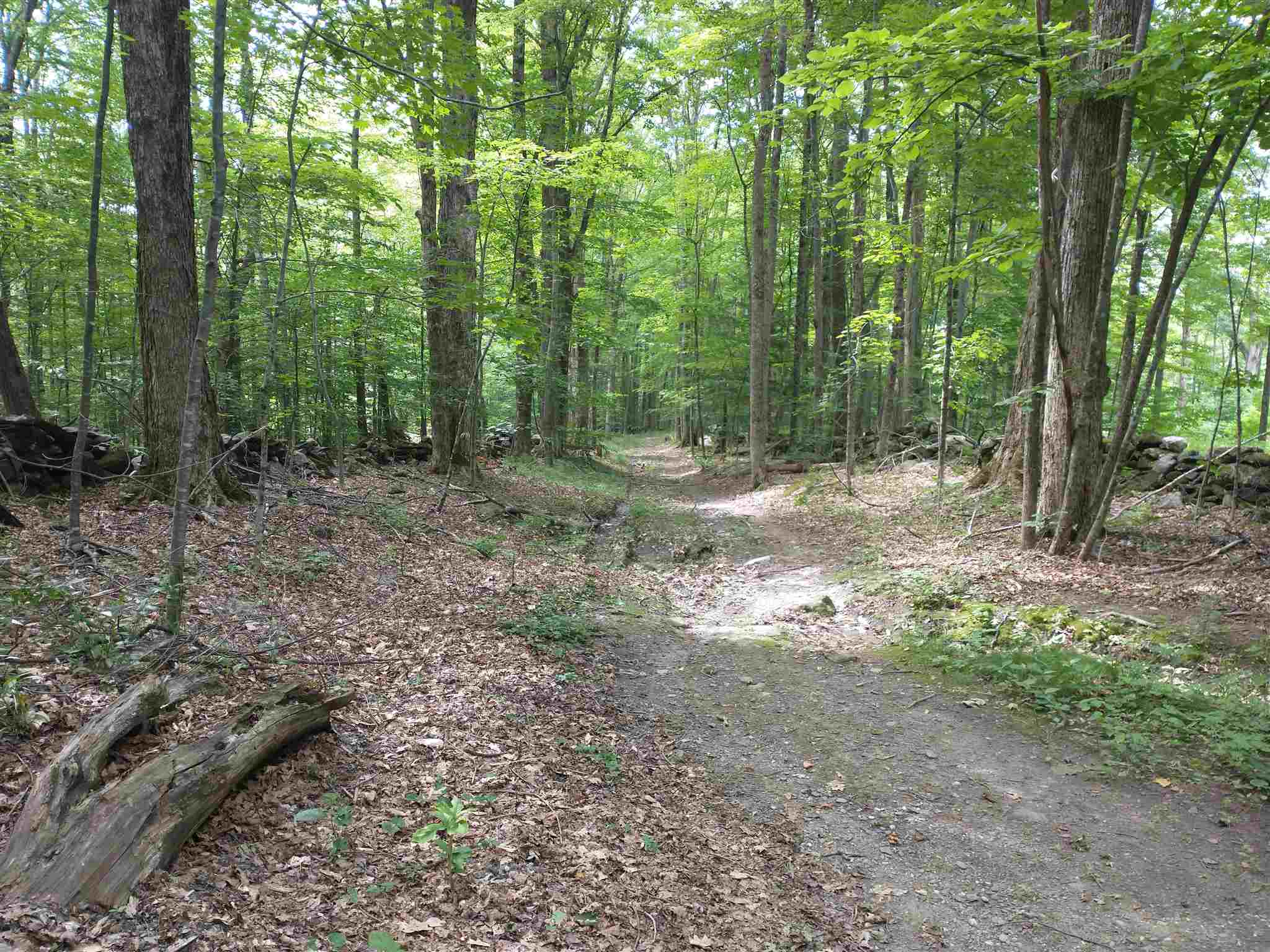 Lot 2 Faraway Road Putney, VT 05346 - Photo 2 of 16