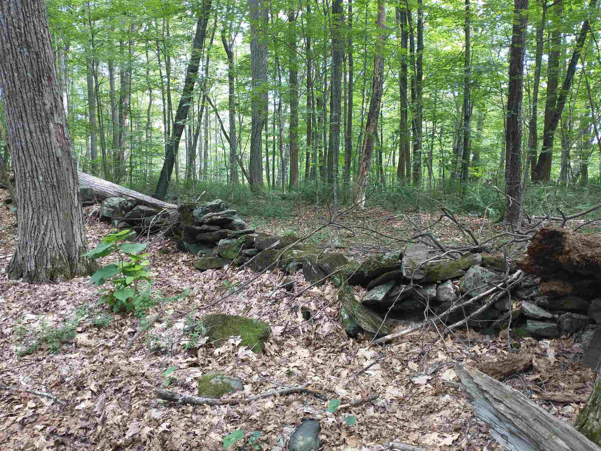 Lot 2 Faraway Road Putney, VT 05346 - Photo 3 of 16