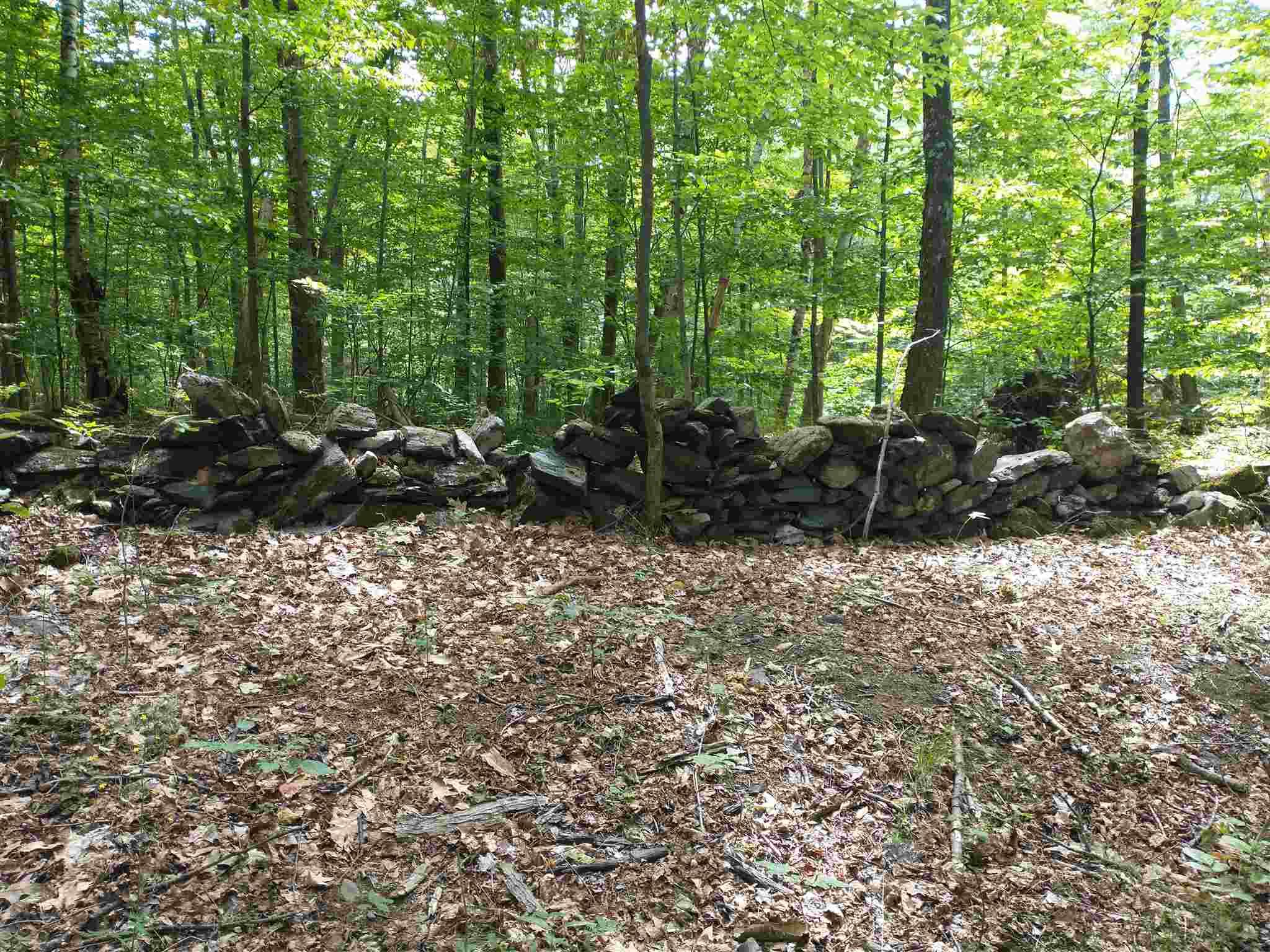 Lot 2 Faraway Road Putney, VT 05346 - Photo 5 of 16