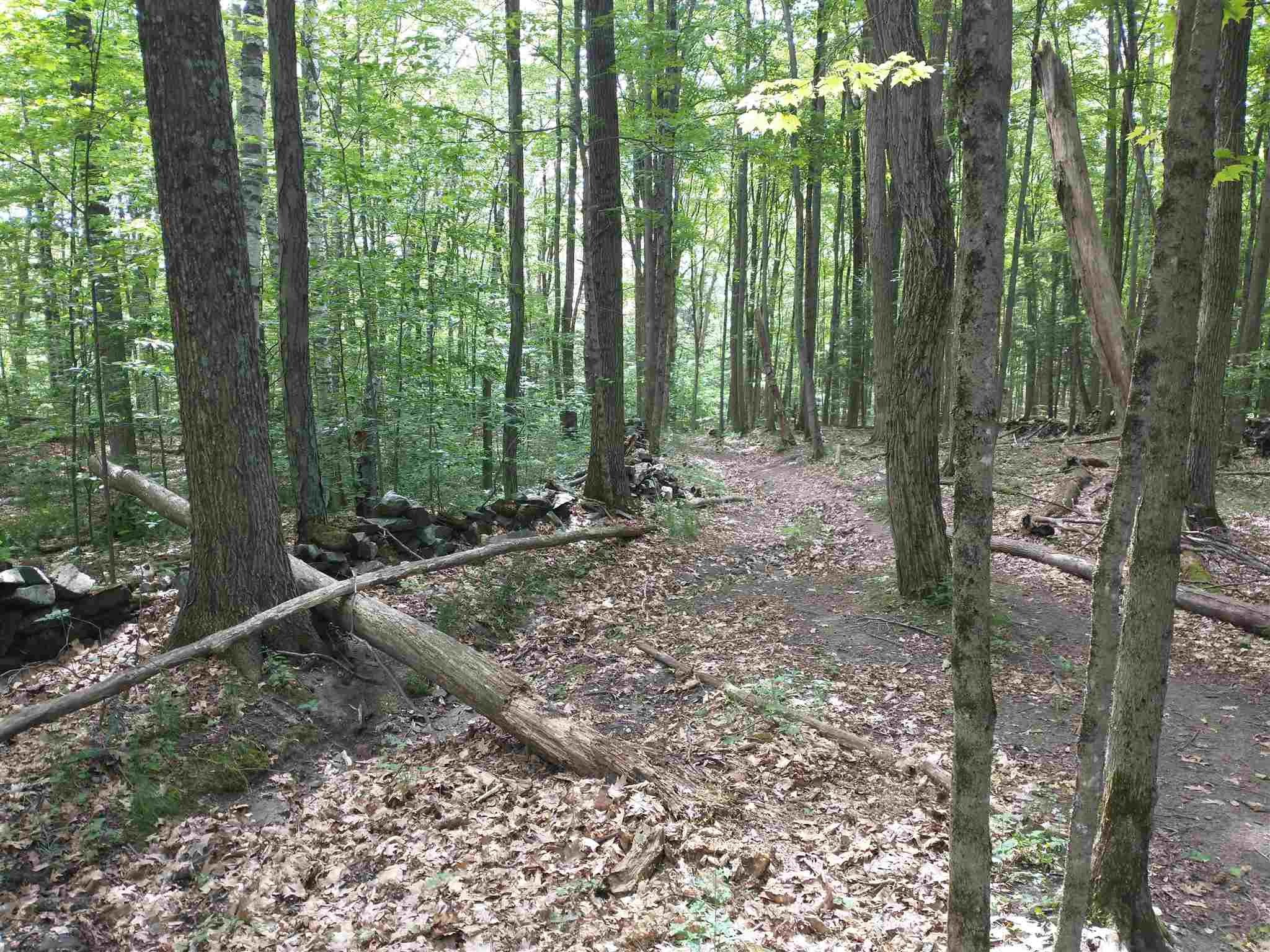 Lot 2 Faraway Road Putney, VT 05346 - Photo 6 of 16