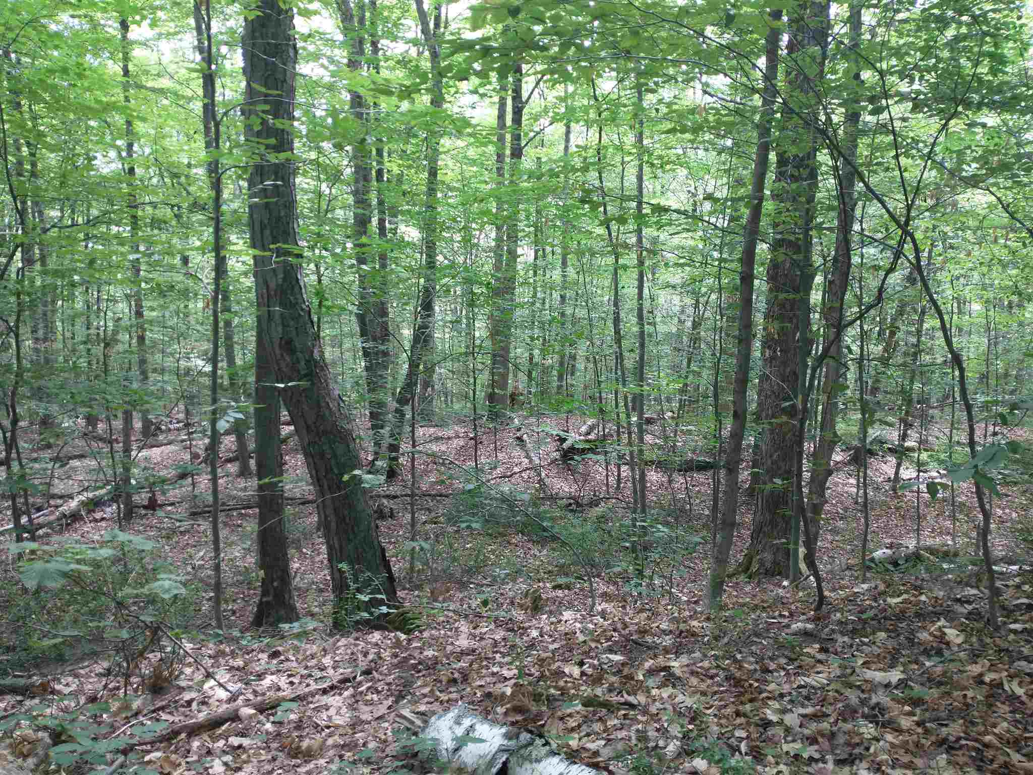 Lot 2 Faraway Road Putney, VT 05346 - Photo 7 of 16