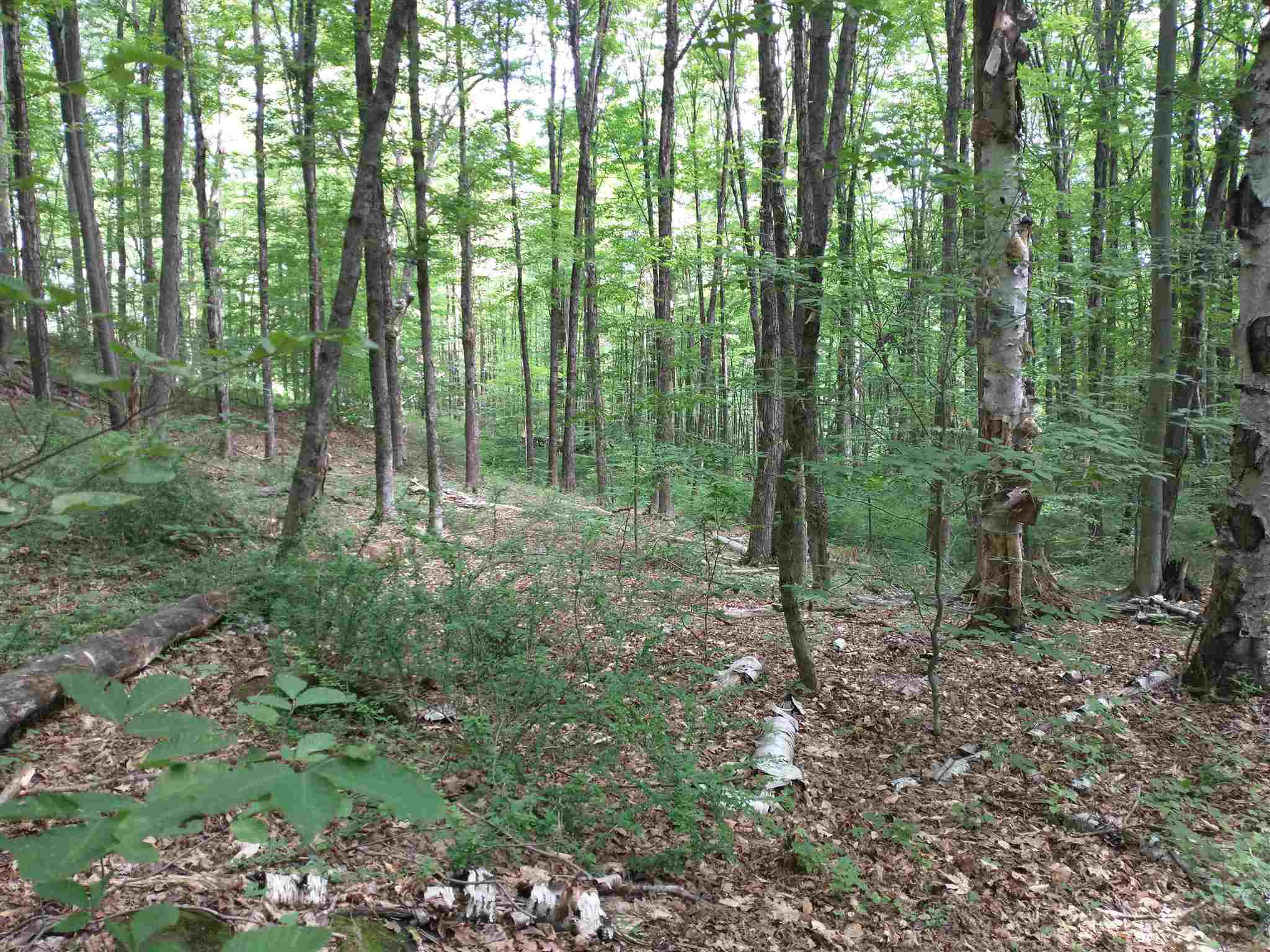 Lot 2 Faraway Road Putney, VT 05346 - Photo 8 of 16