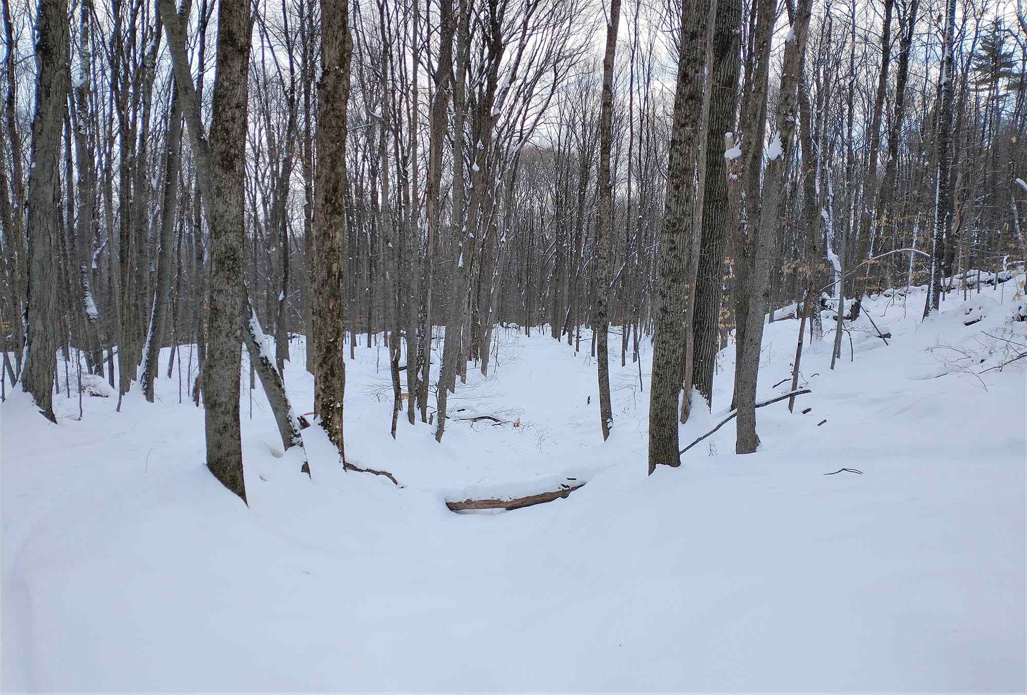Lot 2 Faraway Road Putney, VT 05346 - Photo 10 of 16