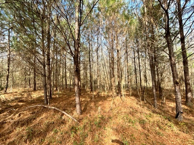 1021 Rance Road McComb, MS 39648 - Photo 18 of 24 Photo 18