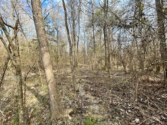 1021 Rance Road McComb, MS 39648 - Photo 19 of 24 Photo 19