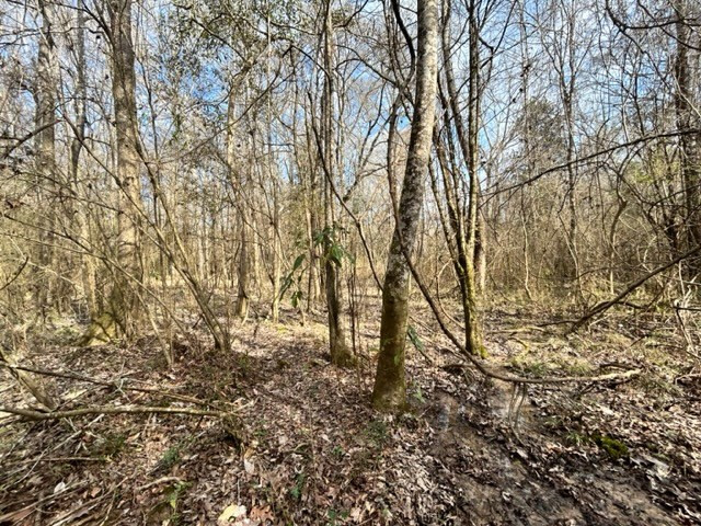 1021 Rance Road McComb, MS 39648 - Photo 20 of 24 Photo 20