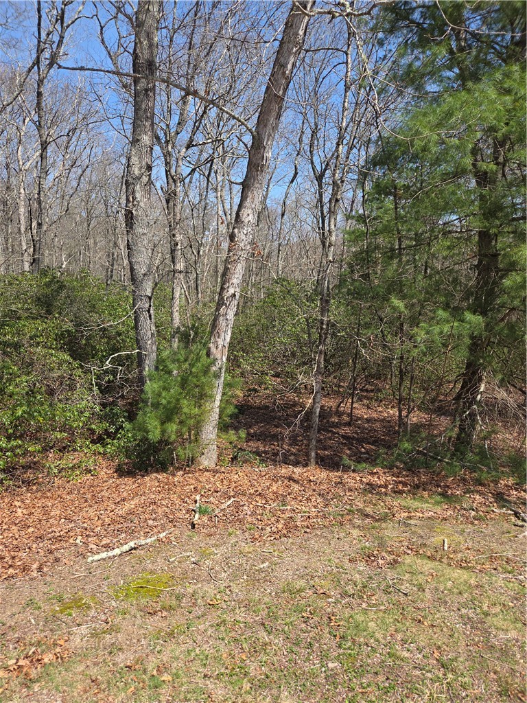 0 Nadia Court Hope Valley, RI 02832 - Photo 2 of 5