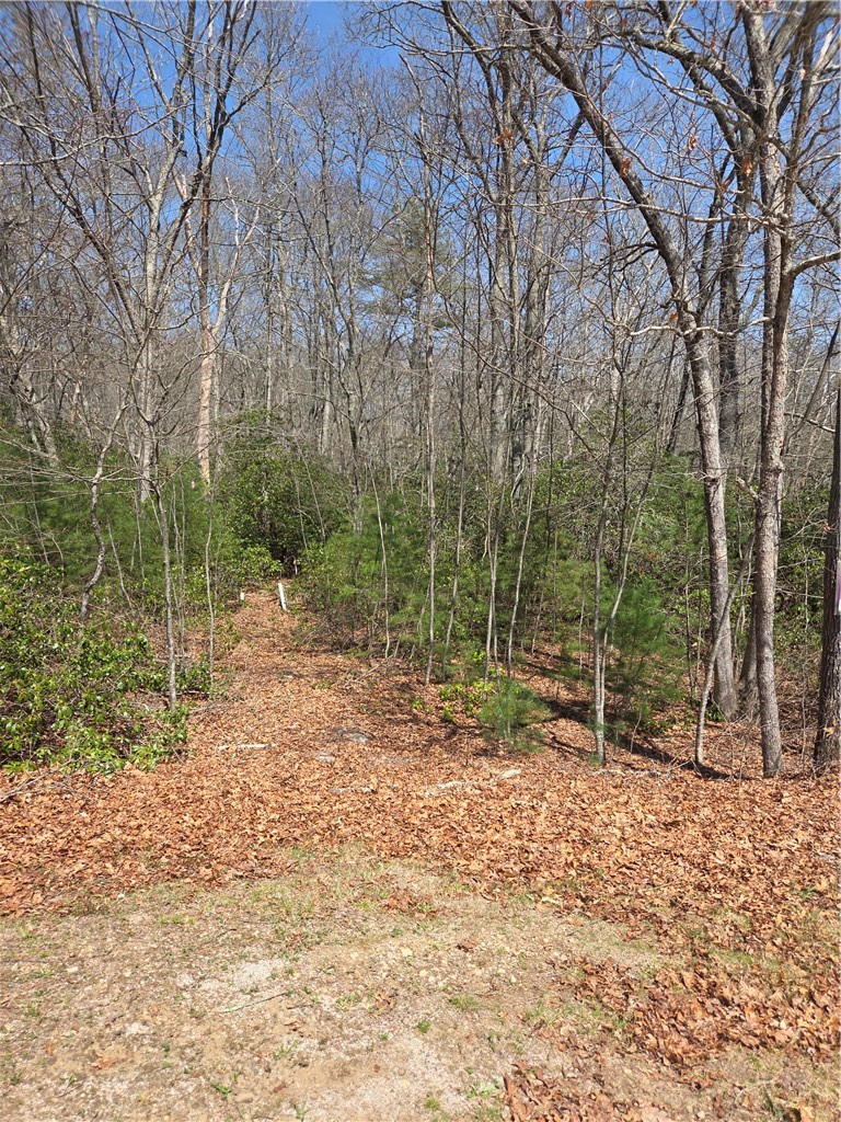 0 Nadia Court Hope Valley, RI 02832 - Photo 4 of 5