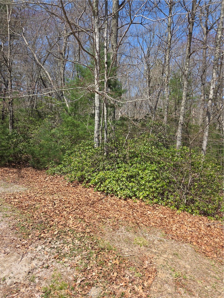 0 Nadia Court Hope Valley, RI 02832 - Photo 5 of 5