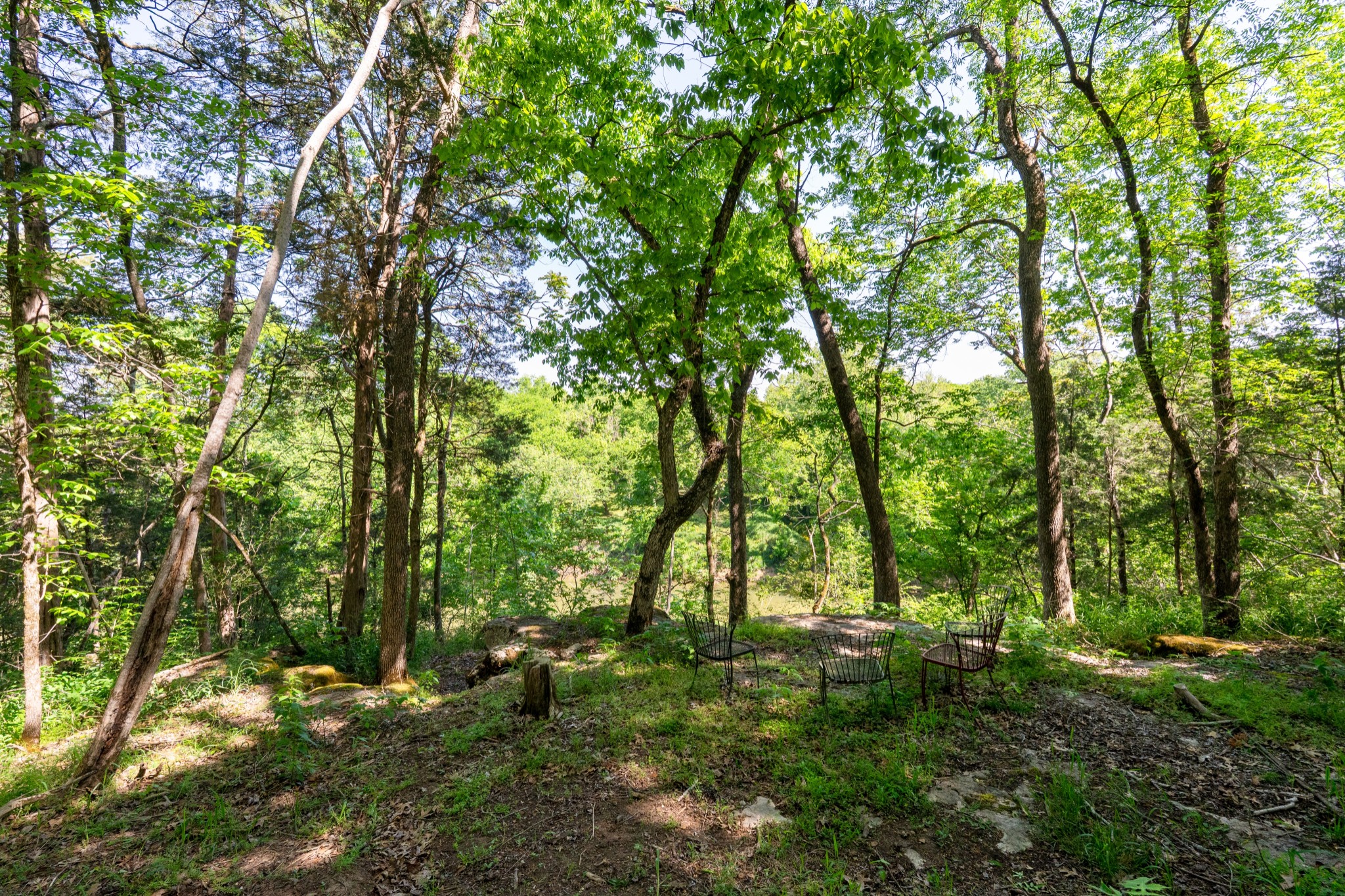 3680 Clark Road Lewisburg, TN 37091 - Photo 44 of 97 Gallery Image 44