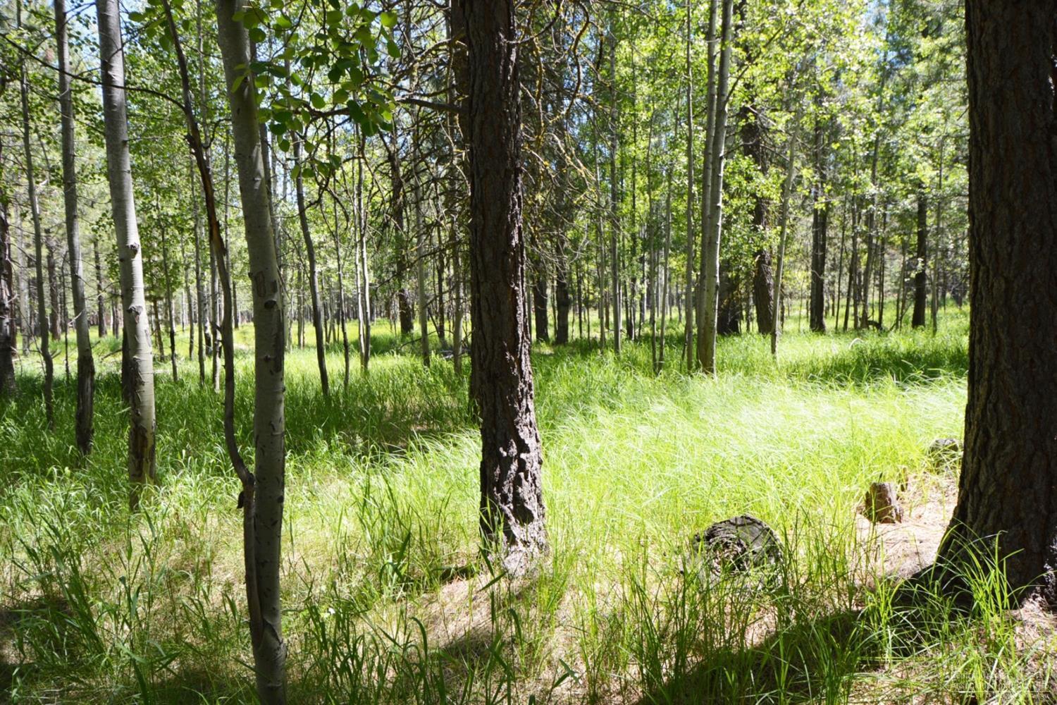 70560 Jacobs Ladder Black Butte Ranch, OR 97759 - Photo 2 of 24 Additional Photo