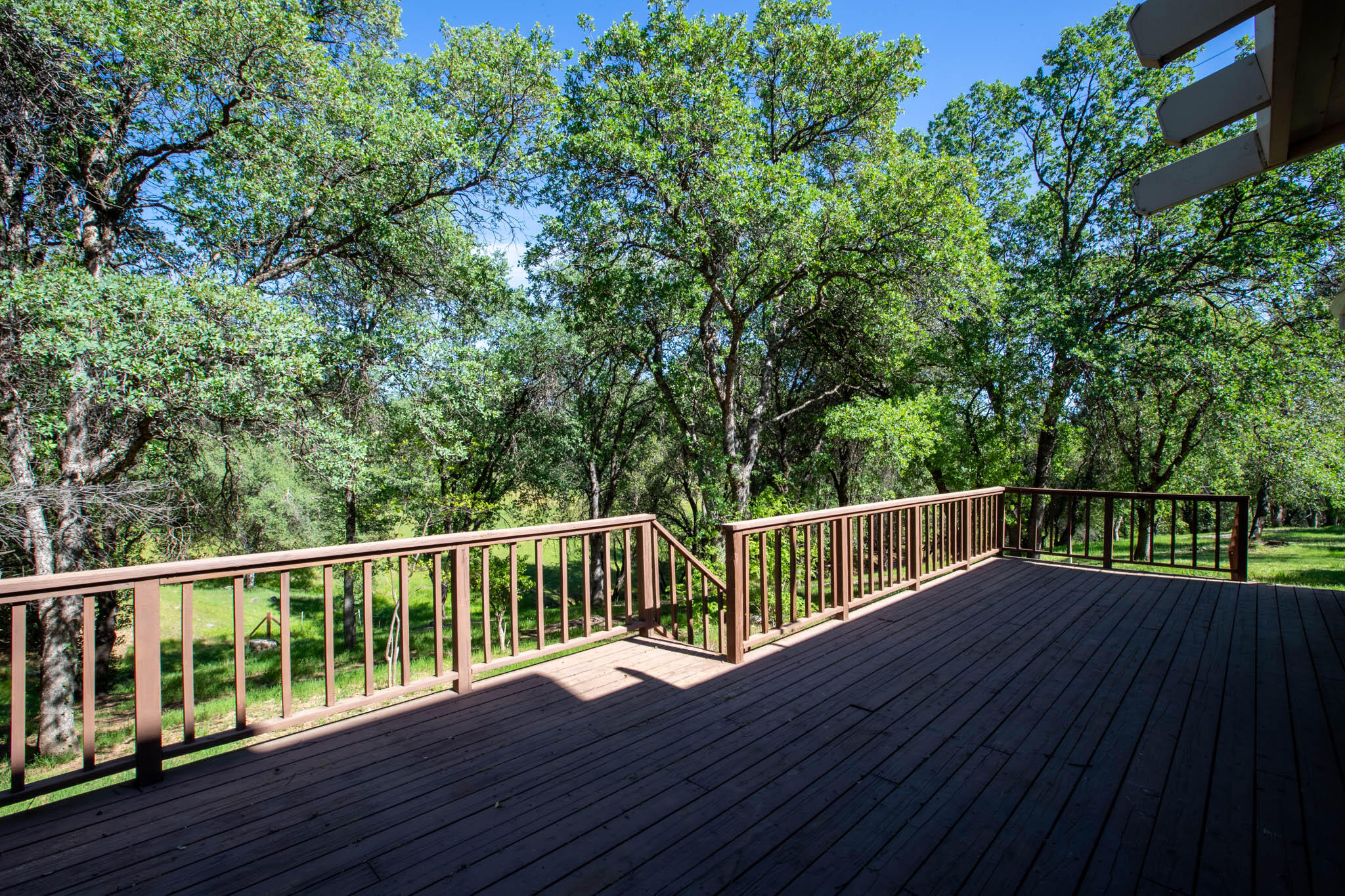 7348 Placer Road Redding, CA 96001 - Photo 11 of 51 Placer Equestrian (10)