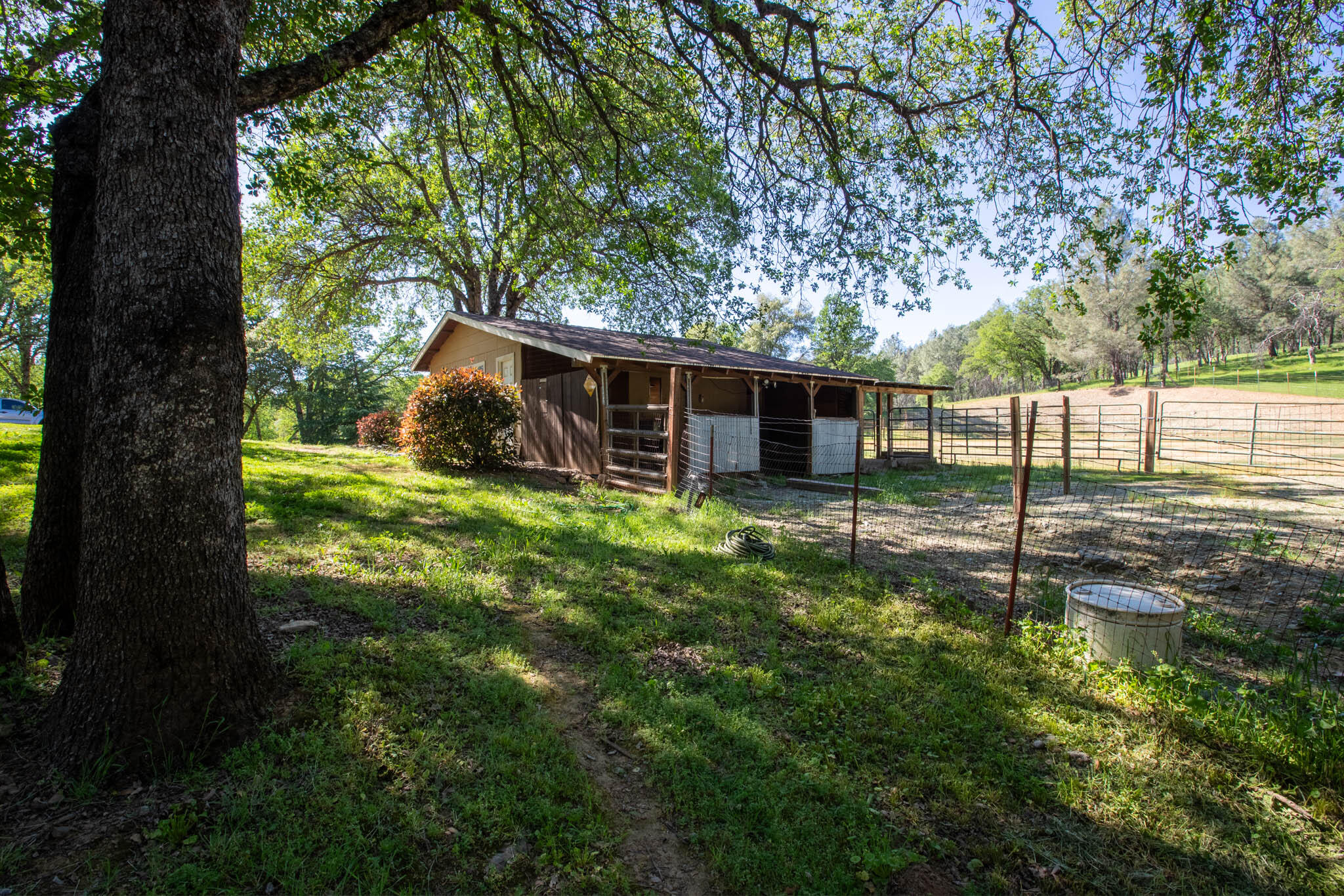 7348 Placer Road Redding, CA 96001 - Photo 14 of 51 Placer Equestrian (12)