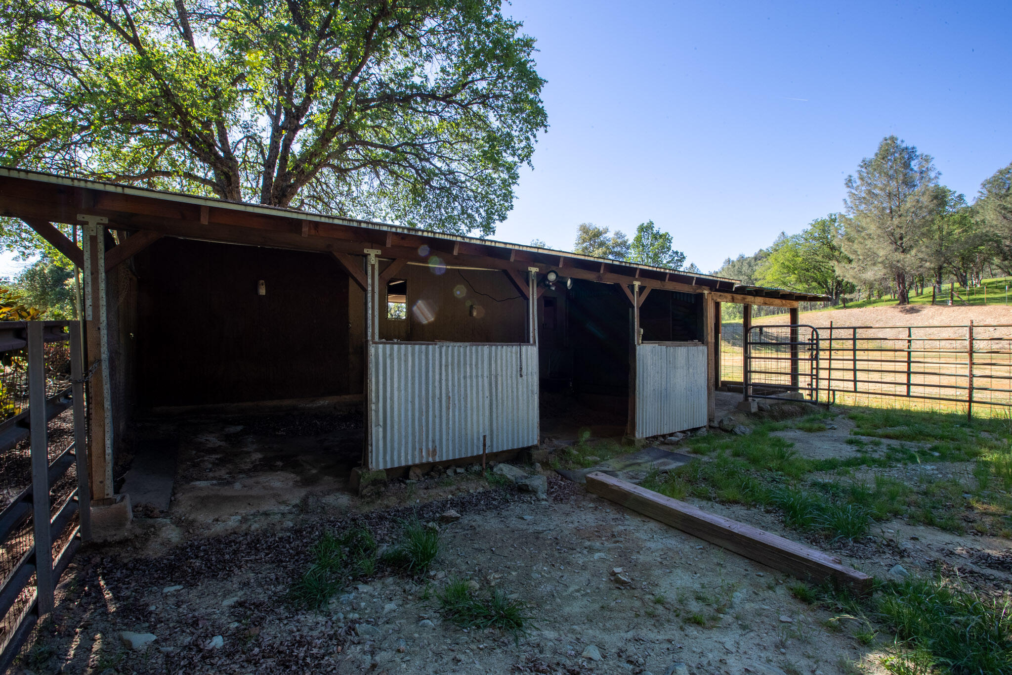 7348 Placer Road Redding, CA 96001 - Photo 24 of 51 Placer Equestrian (23)