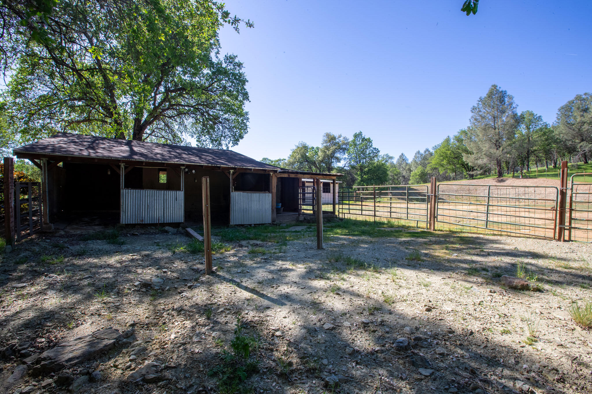 7348 Placer Road Redding, CA 96001 - Photo 25 of 51 Placer Equestrian (24)