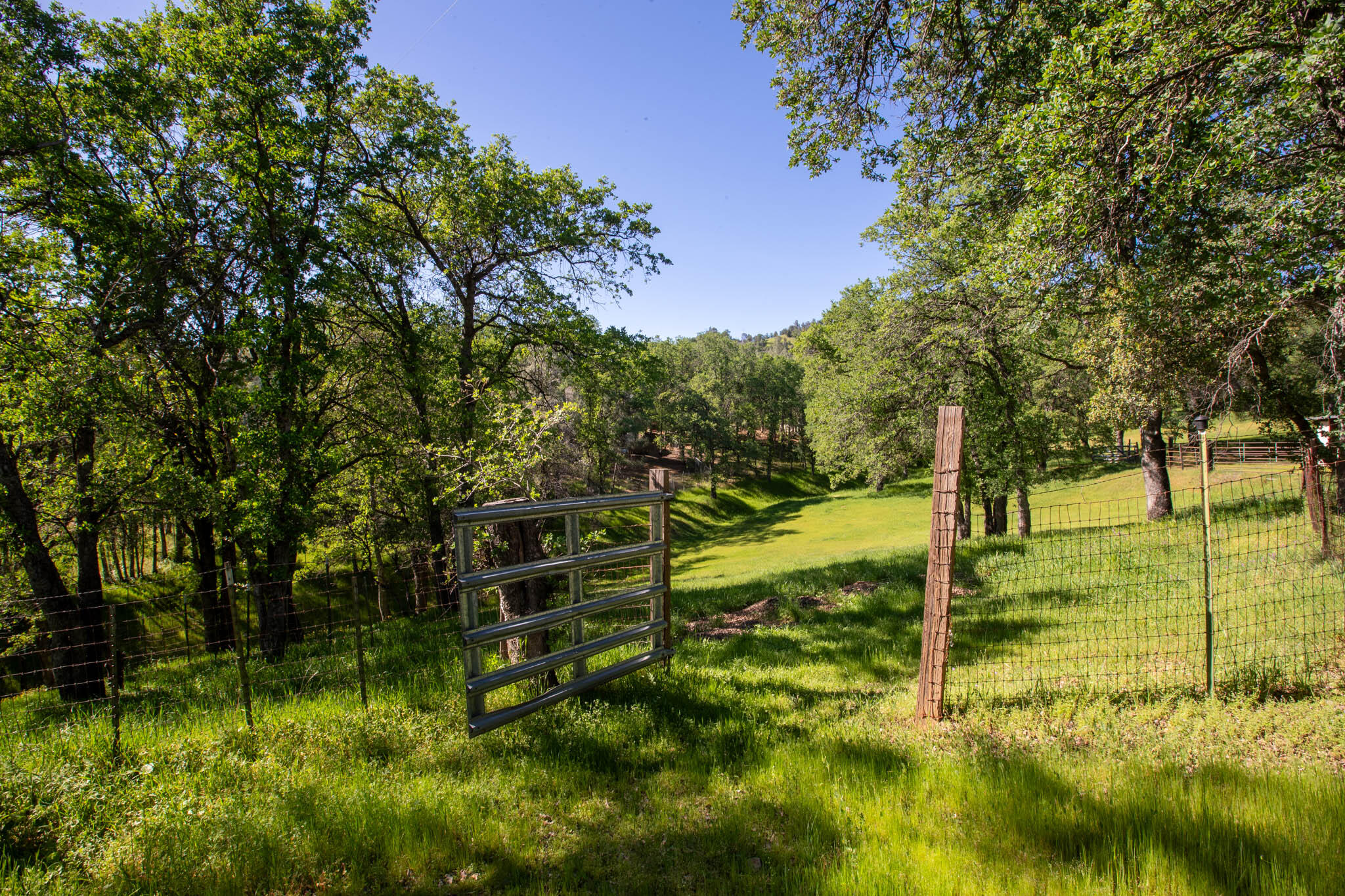 7348 Placer Road Redding, CA 96001 - Photo 28 of 51 Placer Equestrian (27)