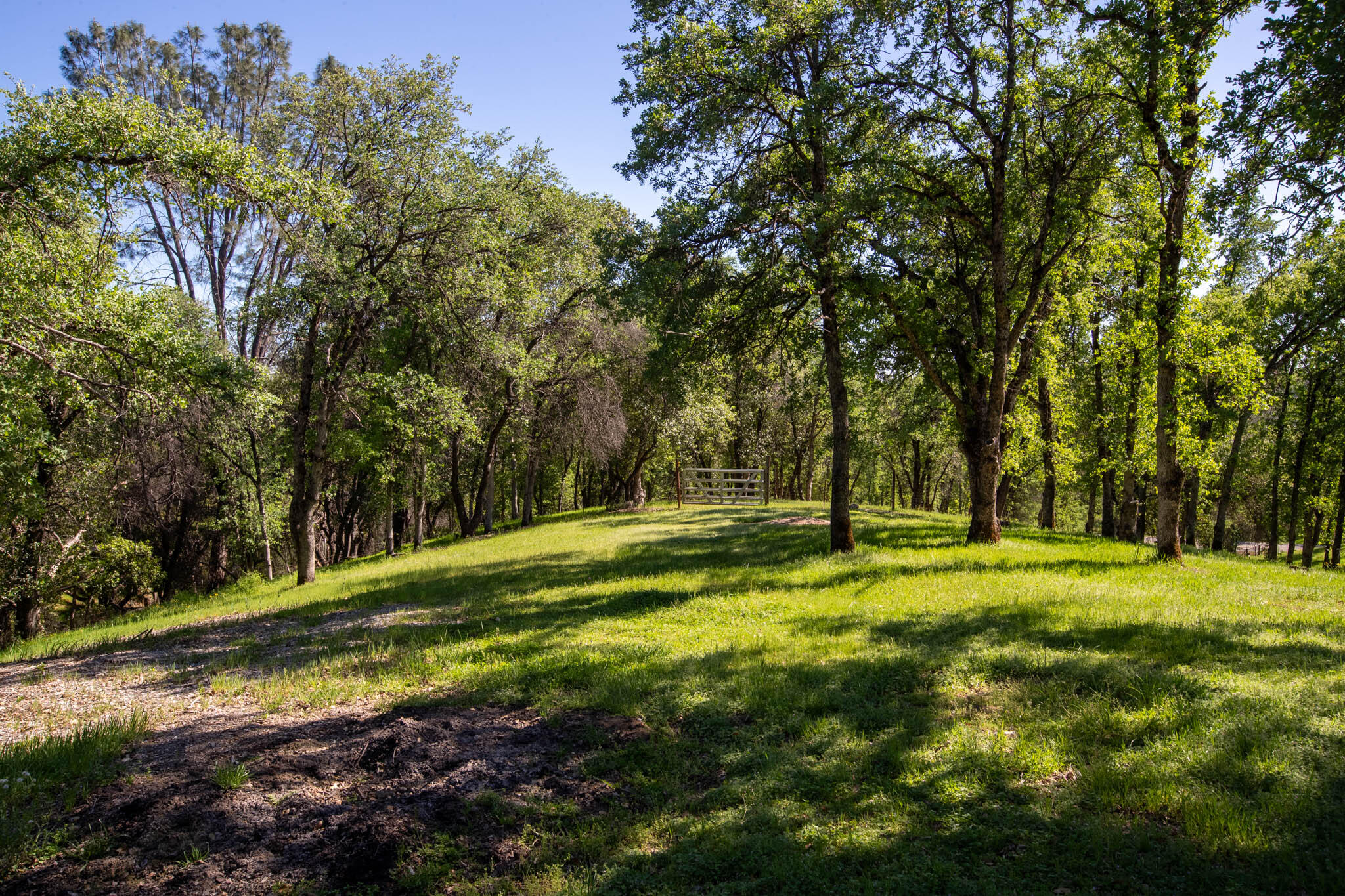 7348 Placer Road Redding, CA 96001 - Photo 8 of 51 Placer Equestrian (7)