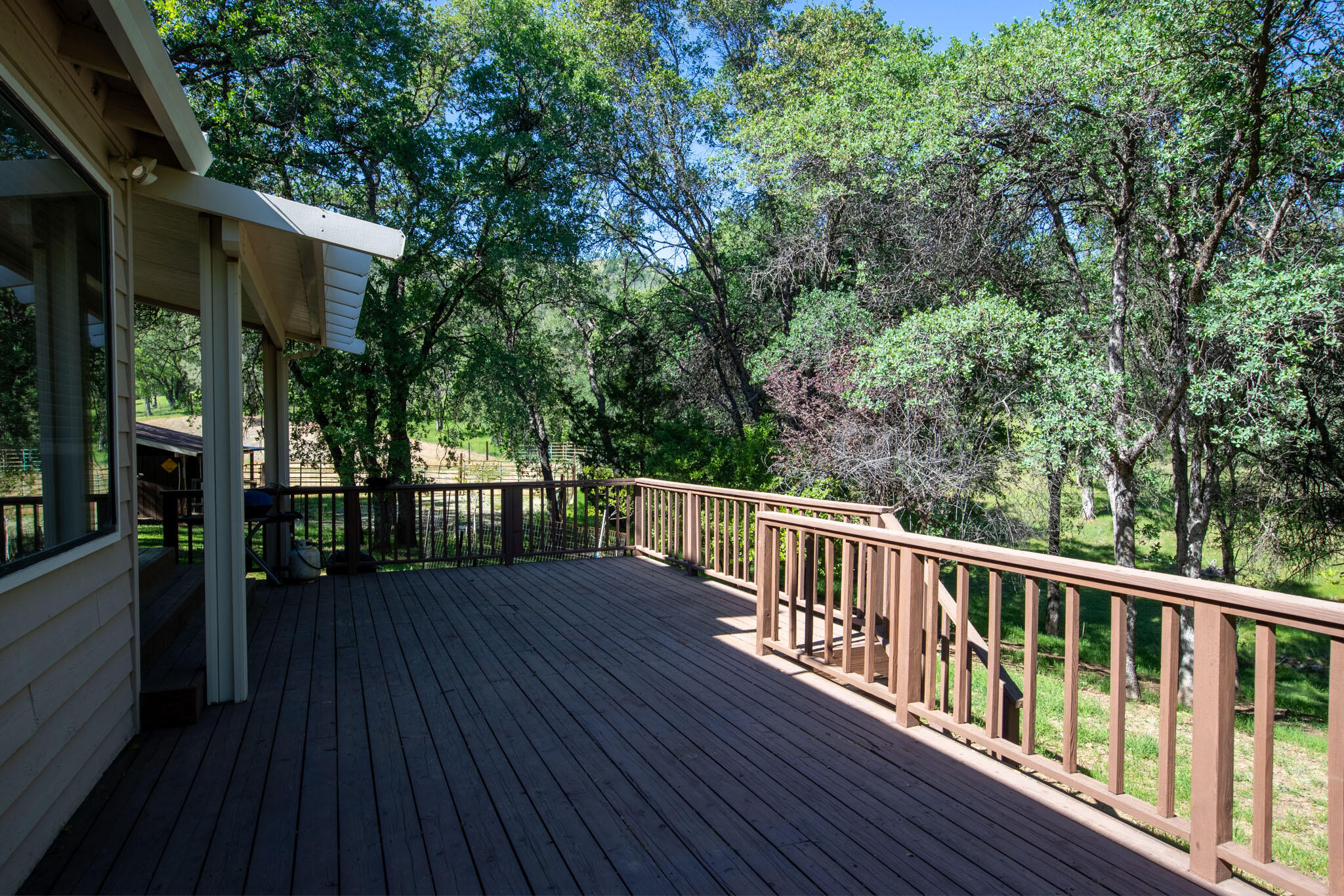 7348 Placer Road Redding, CA 96001 - Photo 10 of 51 Placer Equestrian (9)