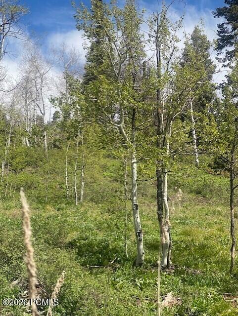 1798 West Alexander Canyon Road Coalville, UT 84017 - Photo 12 of 13