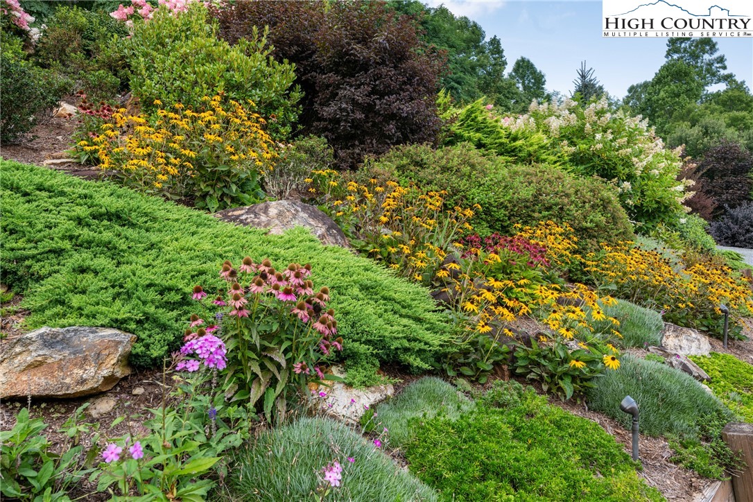 333 Windy Ridge Road Vilas, NC 28692 - Photo 10 of 46 a view of a garden with flowers