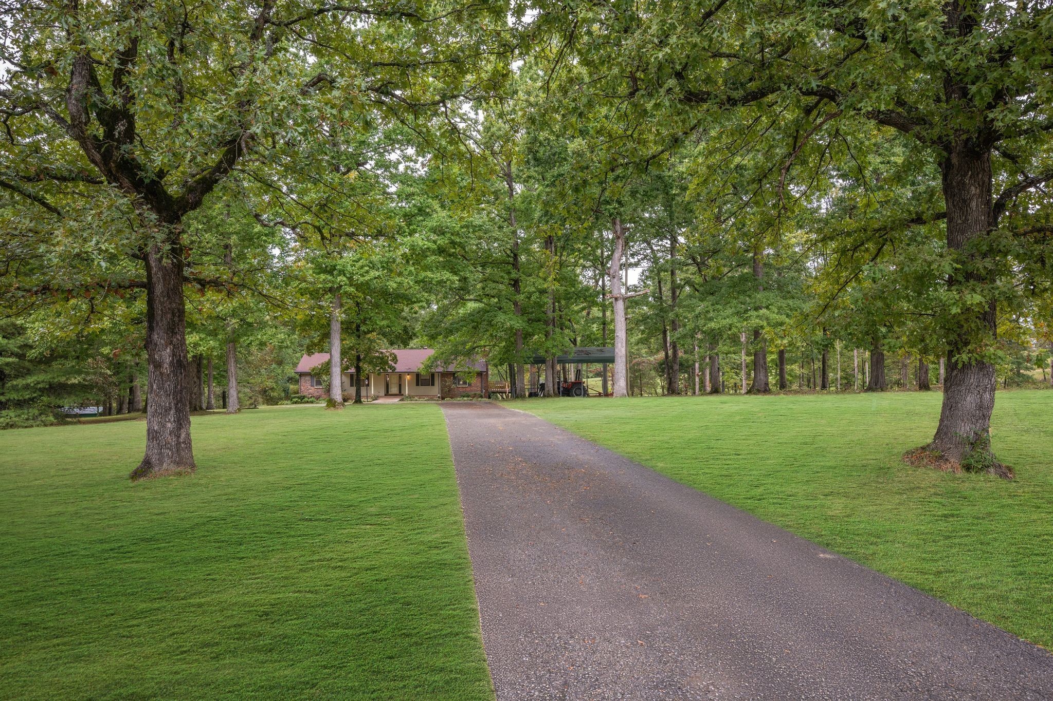 1085 Claylick Road White Bluff, TN 37187 - Photo 3 of 48 a huge green field with lots of trees
