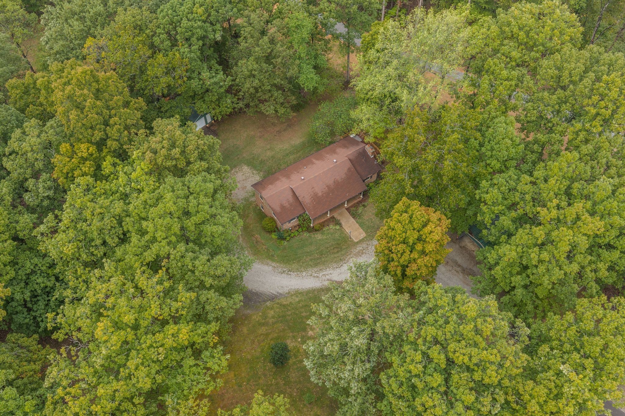 1085 Claylick Road White Bluff, TN 37187 - Photo 41 of 48 a view of a forest with a tree