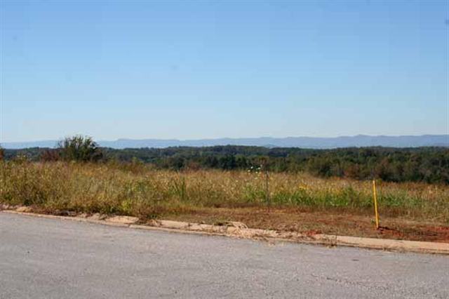19 Ridgeburg Court, Unit CASTLE ROCK SUBDIVSION Greer, SC 29651 - Photo 2 of 4