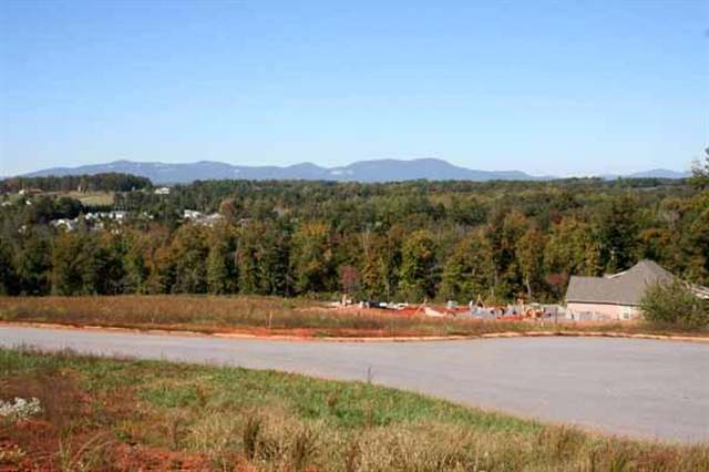 19 Ridgeburg Court, Unit CASTLE ROCK SUBDIVSION Greer, SC 29651 - Photo 3 of 4
