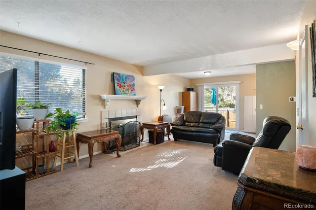 a living room with furniture and a fireplace