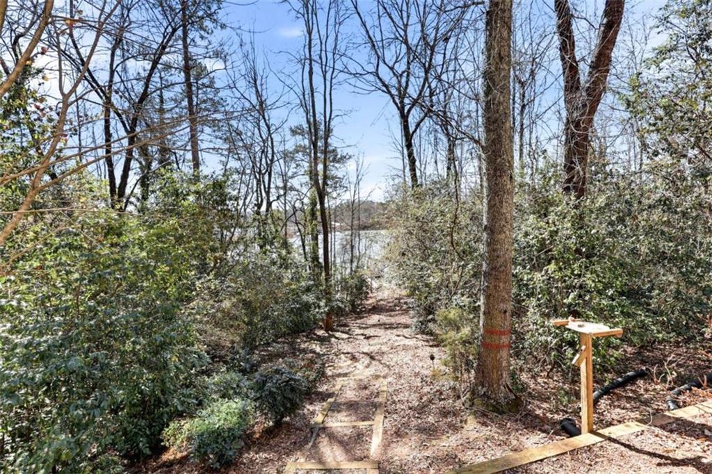 4033 Mt Vernon Road Gainesville, GA 30506 - Photo 39 of 47 a view of a forest