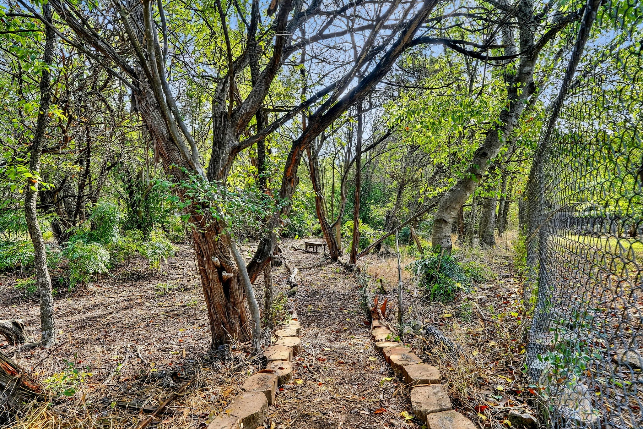3202 Western Drive Austin, TX 78745 - Photo 32 of 34 a view of a yard