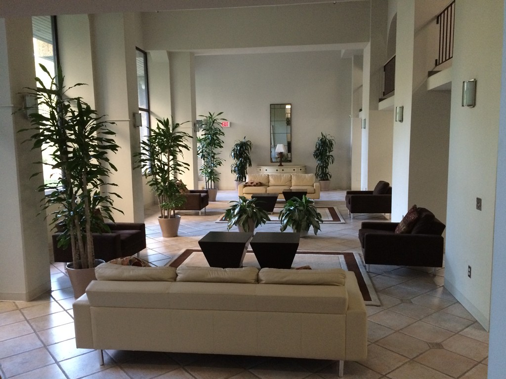 1731 Beacon Street, Unit 1110 Brookline, MA 02445 - Photo 24 of 24 a living room with furniture potted plant and a mirror