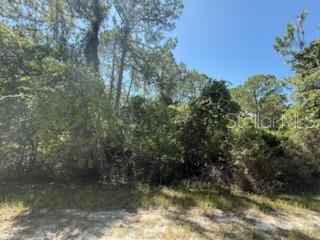 337 Palm Way Georgetown, FL 32139 - Photo 2 of 8 a view of a lake view