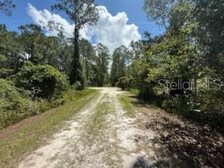 337 Palm Way Georgetown, FL 32139 - Photo 3 of 8 a view of outdoor space with trees all around