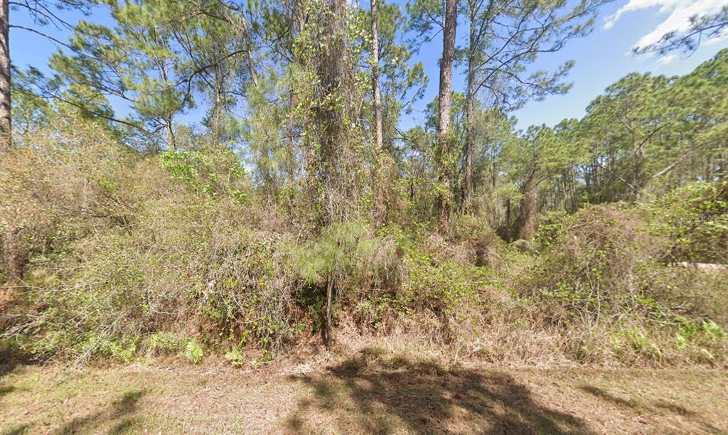 337 Palm Way Georgetown, FL 32139 - Photo 6 of 8