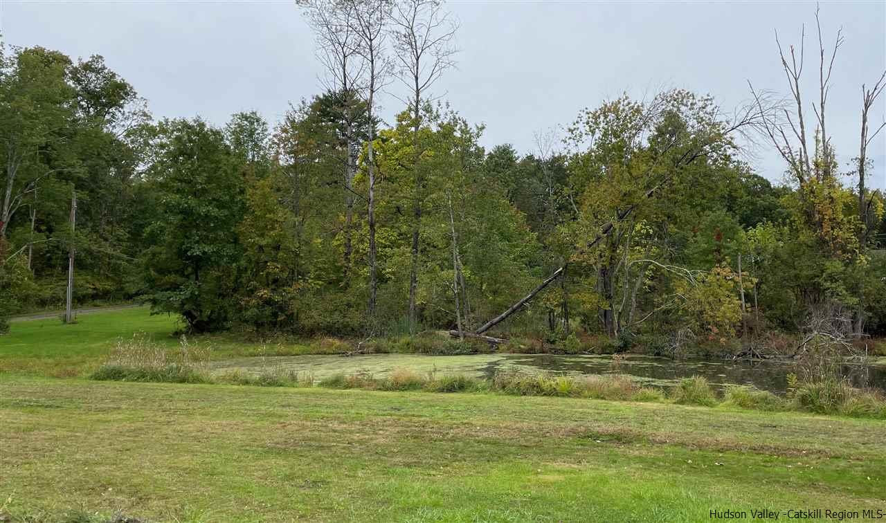 53 Coxing Road Cottekill, NY 12419 - Photo 9 of 13 a view of a yard