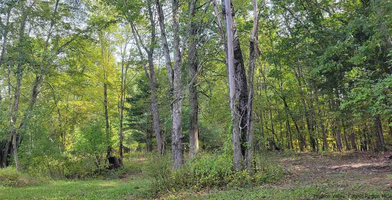 53 Coxing Road Cottekill, NY 12419 - Photo 10 of 13 a view of forest