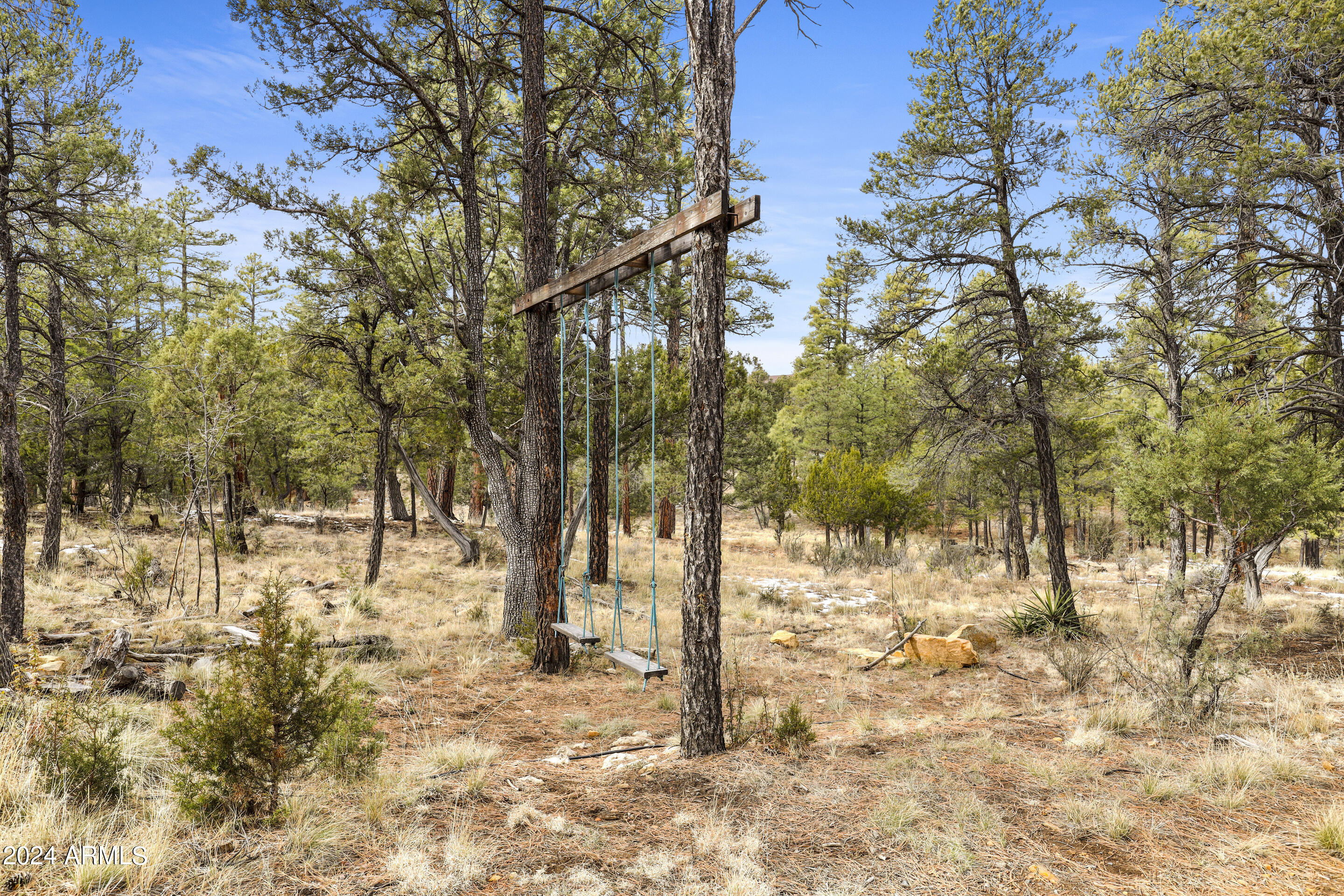1534 Mainline Road Heber, AZ 85928 - Photo 28 of 40 Homemade swing area in the pines