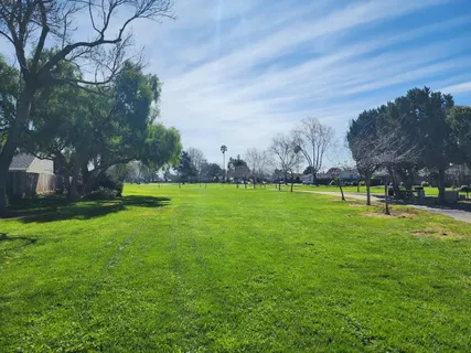 a view of yard with tree s and sitting
