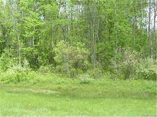 19307 West Brant Road Brant, MI 48614 - Photo 2 of 2