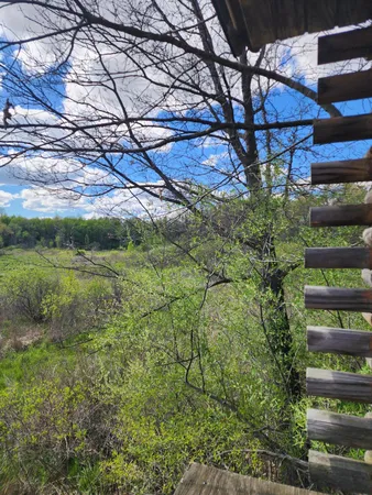$65,000 | 12 12 Mile Road, Ceresco, MI 49033