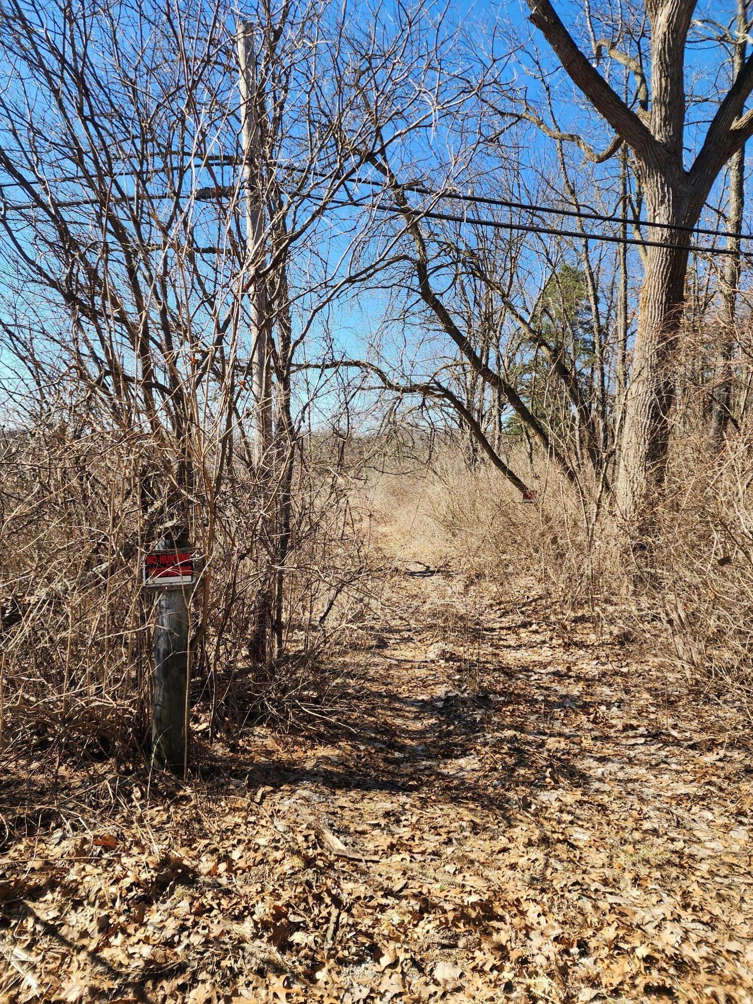 12 12 Mile Road Ceresco, MI 49033 - Photo 3 of 6 20260309_142510